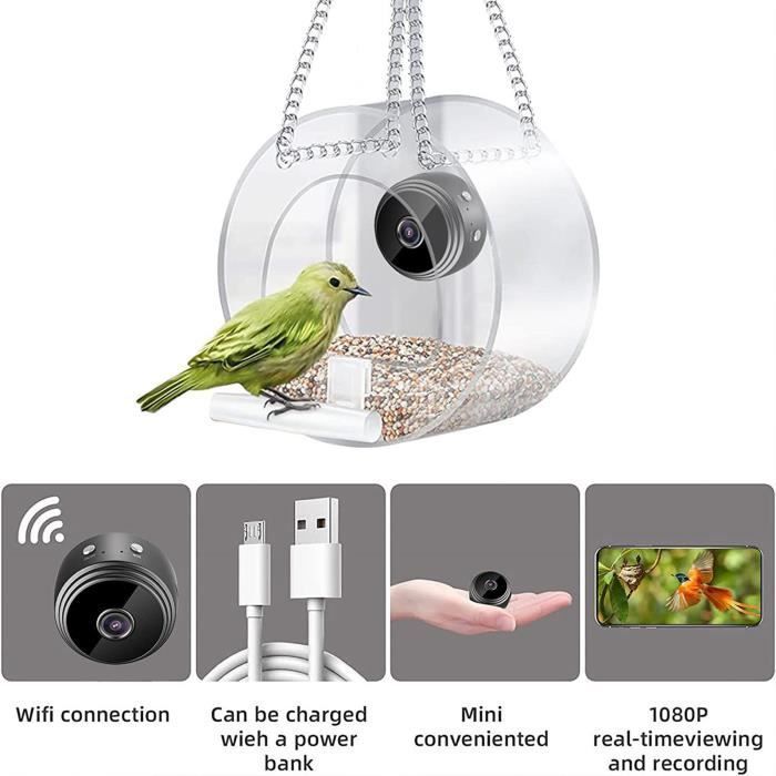 Comedero inteligente para pájaros con cámara - OMABETA - Visión nocturna - Exterior - Aves silvestres