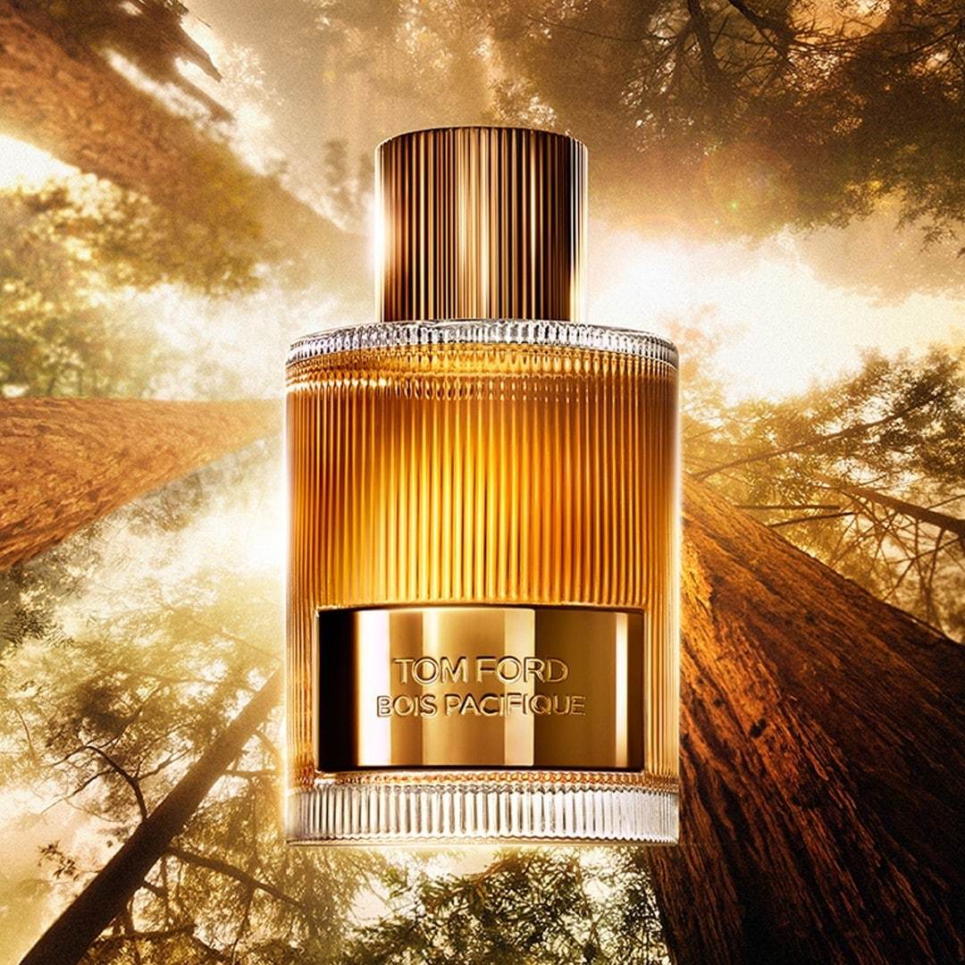 TOM FORD Signature parfemska voda mirisi Pacific Woods – 50 ml