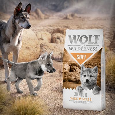Wolf of Wilderness Junior Soft 