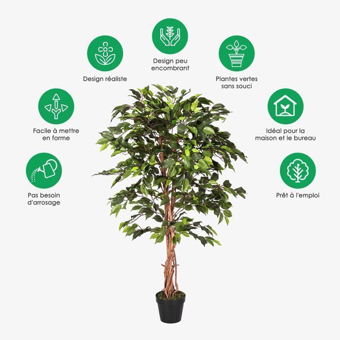 Ficus benjamina verde em vaso de 122 cm
