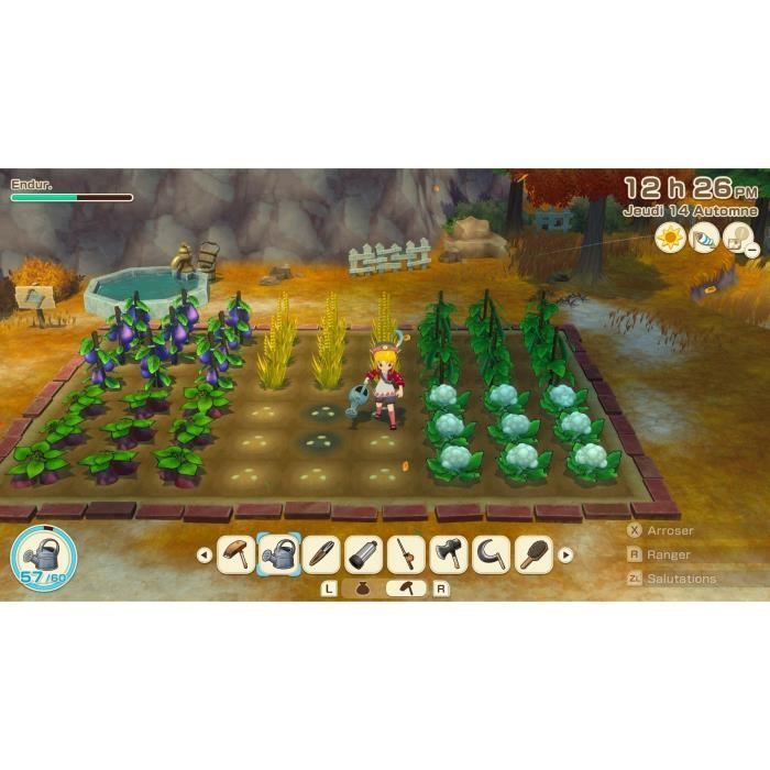 Story of Seasons: Grand Bazaar - Nintendo Switch Game - Limited Edition