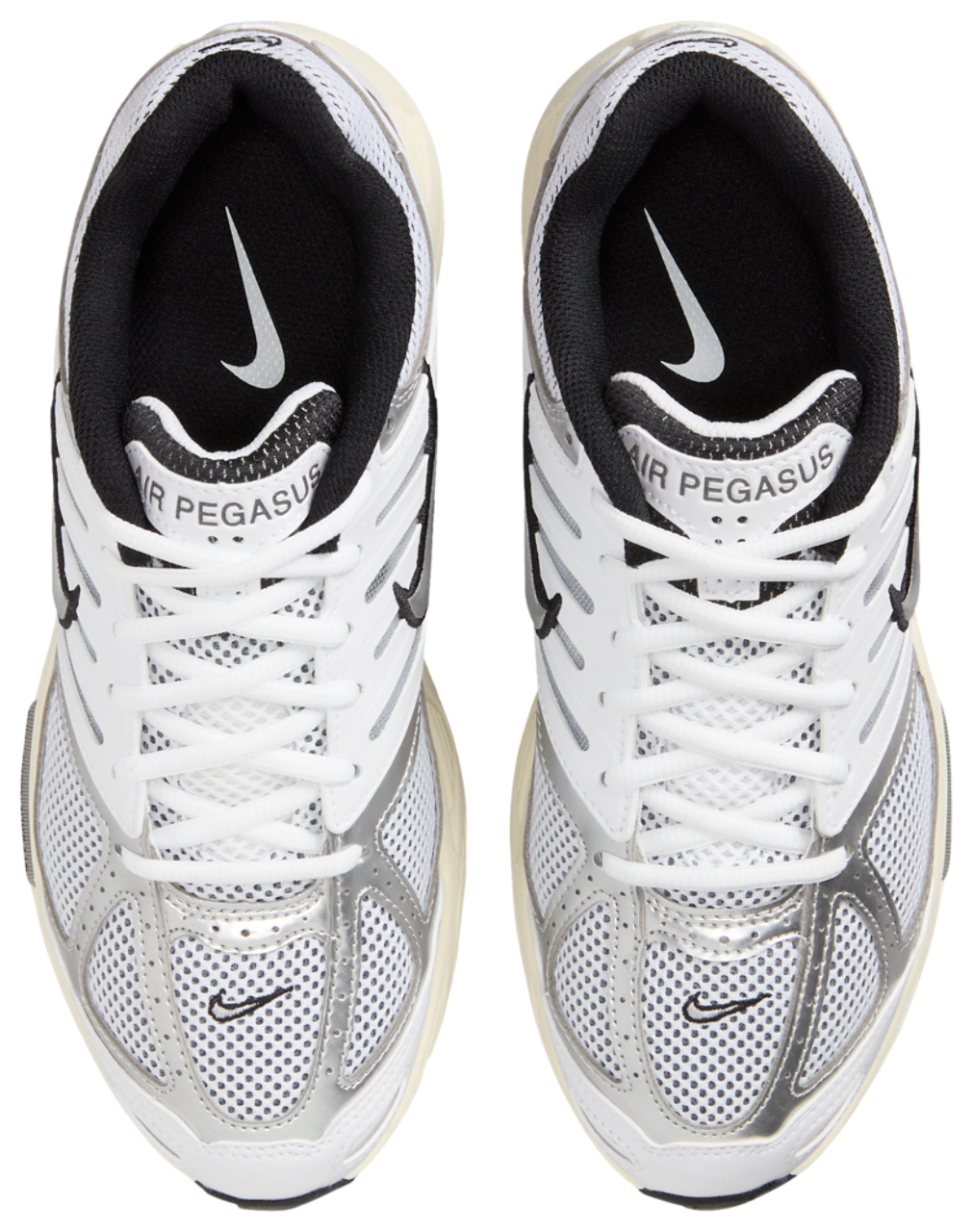 Nike Air Pegasus 2005