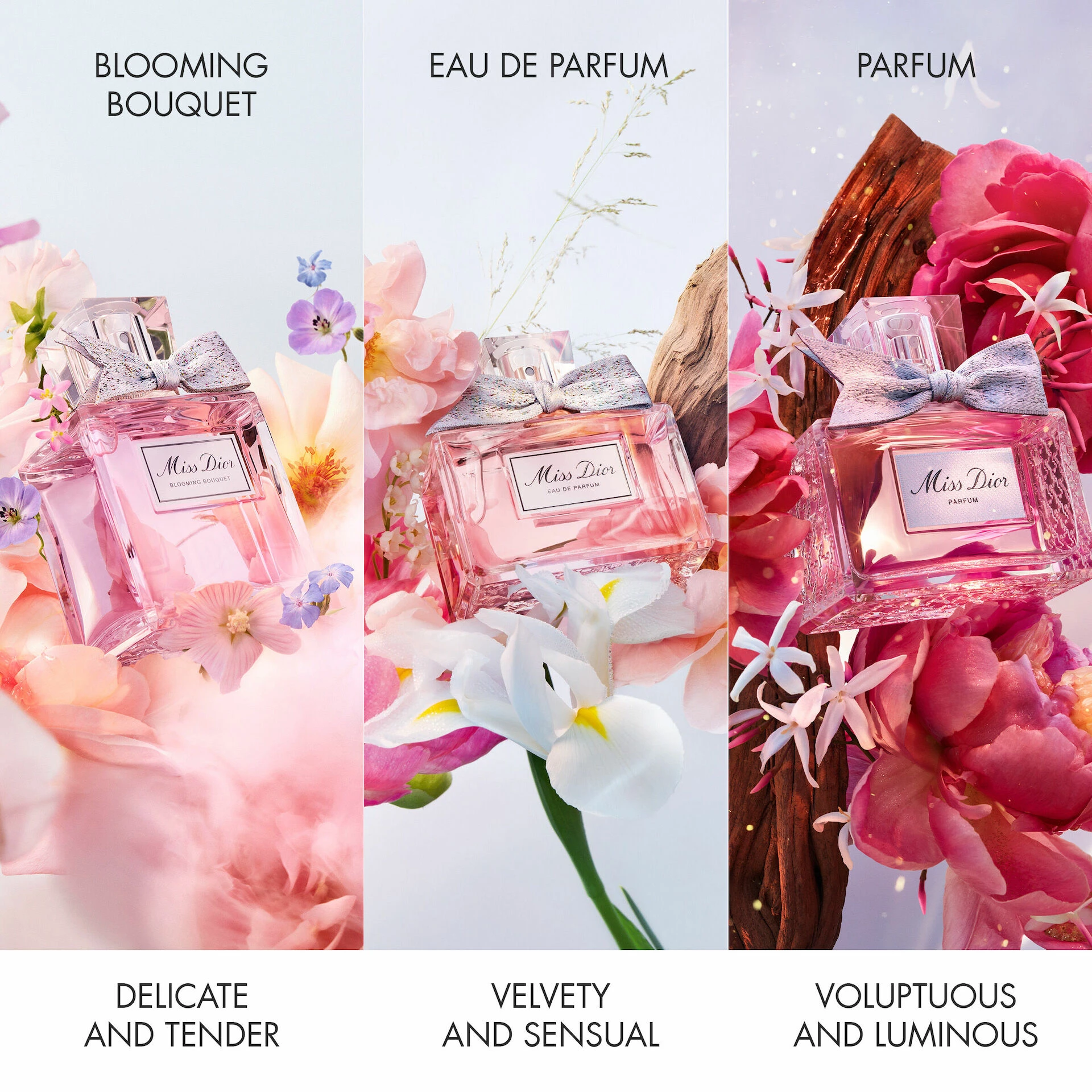 Parfum Miss Dior 35 ml - DIOR