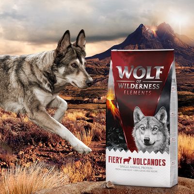 Wolf of Wilderness Adult „Vulcani înflăcărați” - Miel
