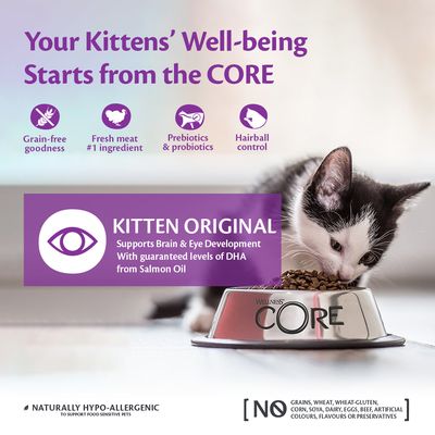 Wellness Core Kitten Original -kuivaruoka kissalle