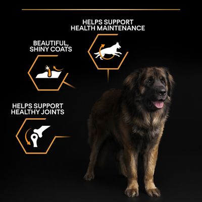 PURINA PRO PLAN Grote, complete voeding voor volwassenen, dagelijks gebruik