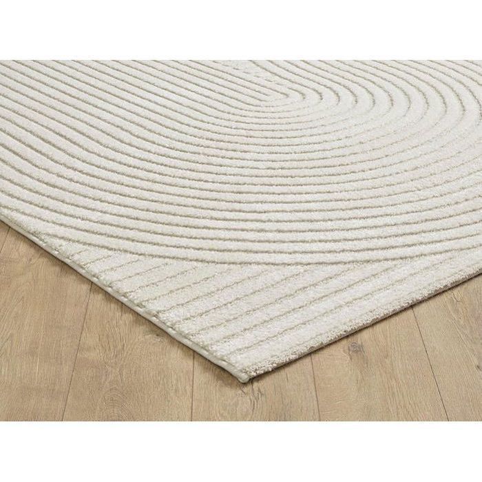Tapis Moderne - THE CARPET - Everest 2251 - 160x230 cm - Effet 3D - Design Scandinave