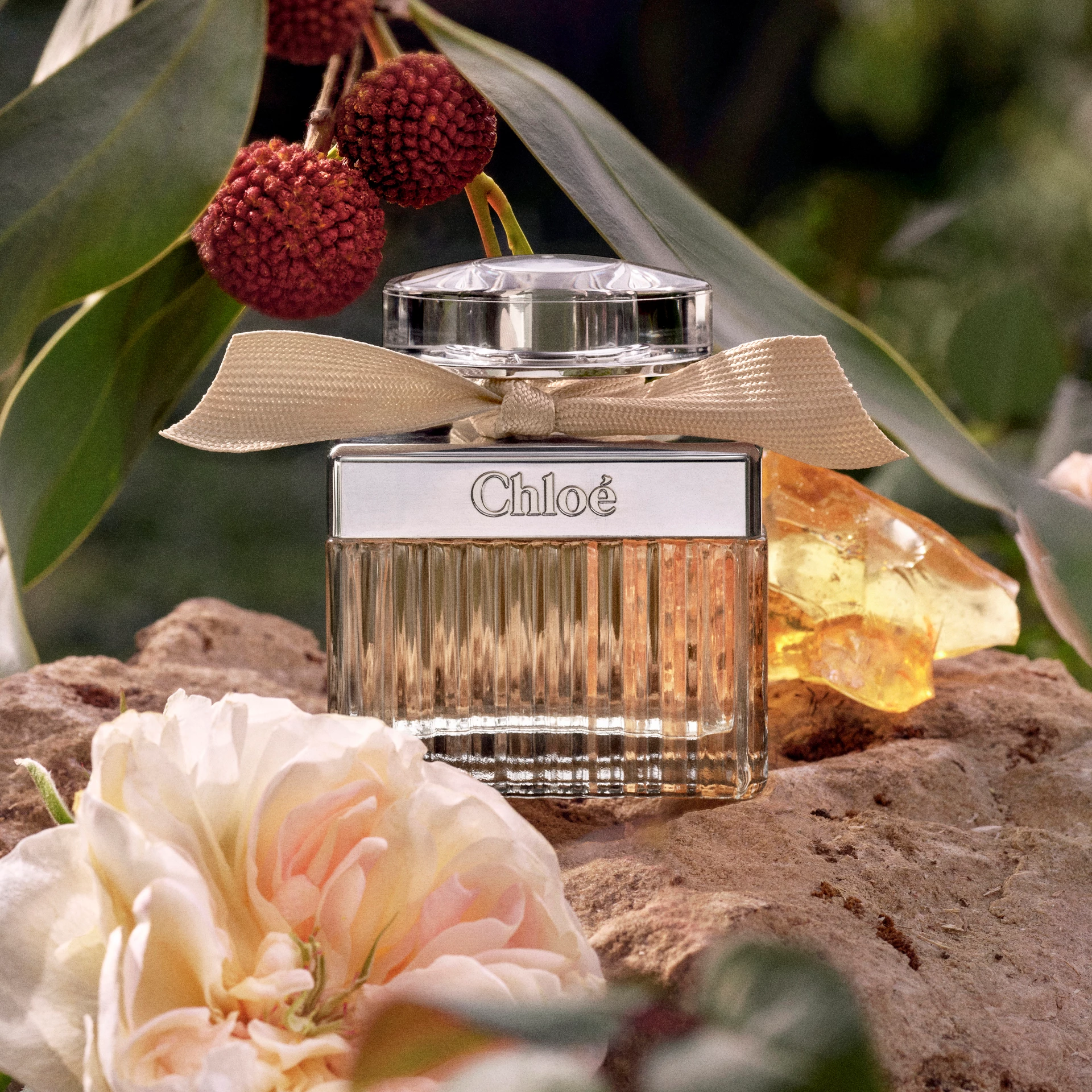 Signature EdP 30 ml - Chloé