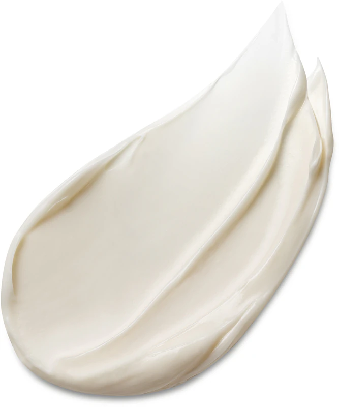 Estée Lauder Advanced Night Repair Overnight Treatment Hydraterende Anti-Rimpel Nachtcrème