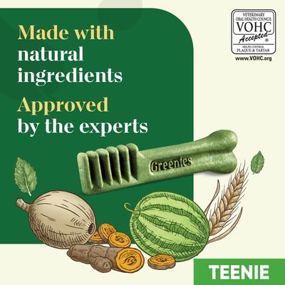Greenies koiran hammastahnapurut -säästöpakkaus 3 x 170 g