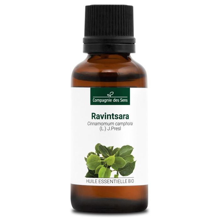 Biologische Ravintsara - 30 ml - Essentiële olie van topkwaliteit - 100% puur, natuurlijk, ChromaCert® gegarandeerd - Chemotypeerd & volledig