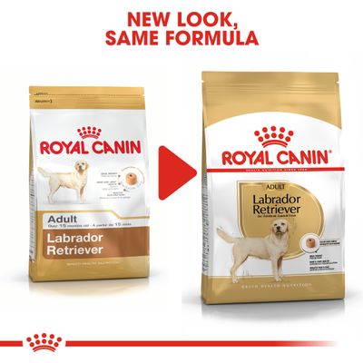 Royal Canin Labrador Retriever Erwachsener