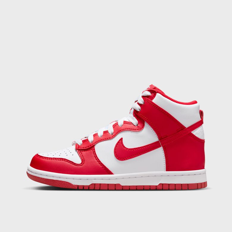 Dunk High (GS)