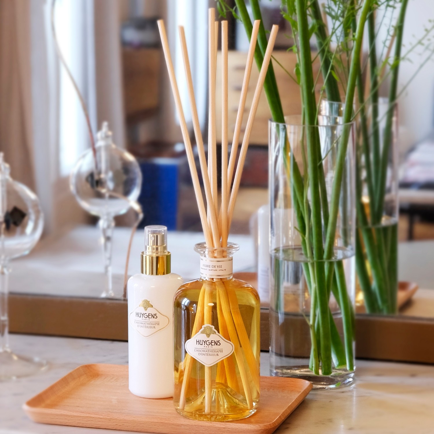 Huygens LE DIFFUSEUR A BATONNETS ROSIER