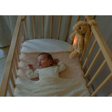 Zazu Sleeping Soother Ro Kani Pehmolelu Äänellä ja Valolla 1 kpl 1 kpl