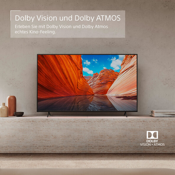 Televizor inteligent 4K UHD de 50 inchi KD50X81JAEP