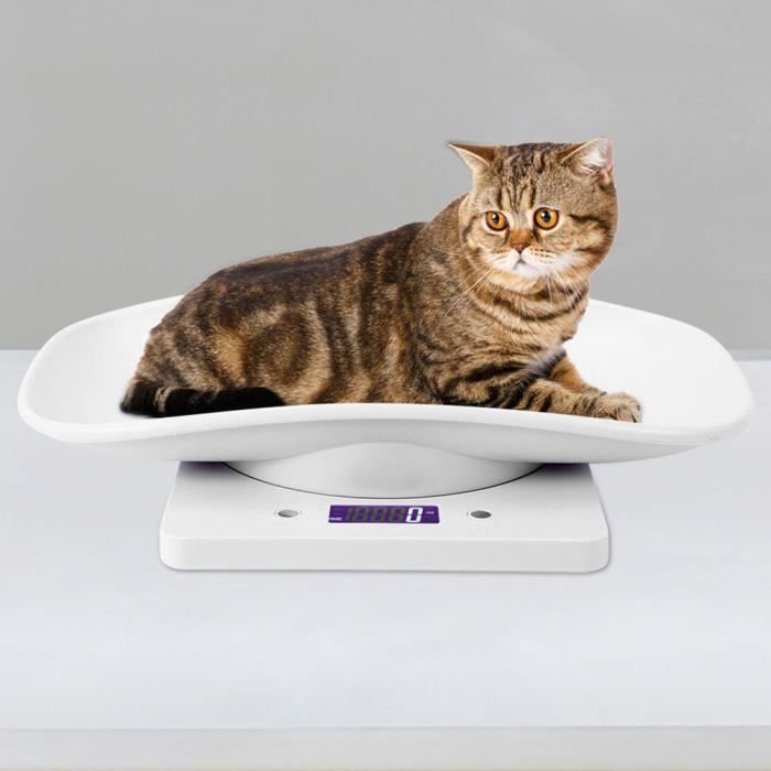 Digitale Haustierwaage – ESTINK – 10 kg / 1 g – Weiß