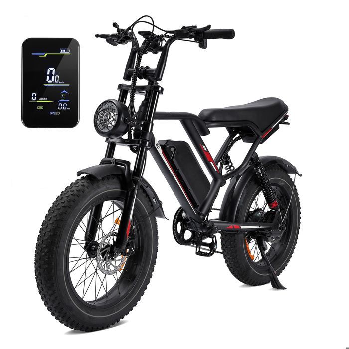 Vélo électrique 20
