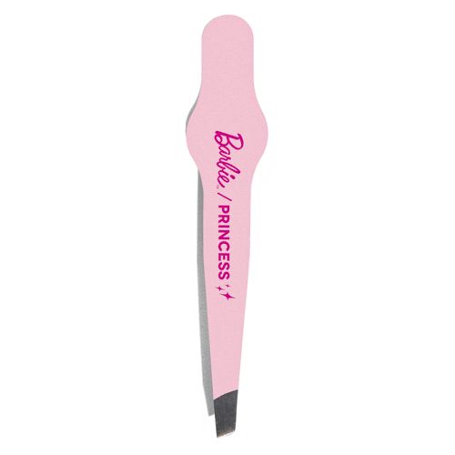 Barbie™/Princeza Pinceta Roza Pinceta
