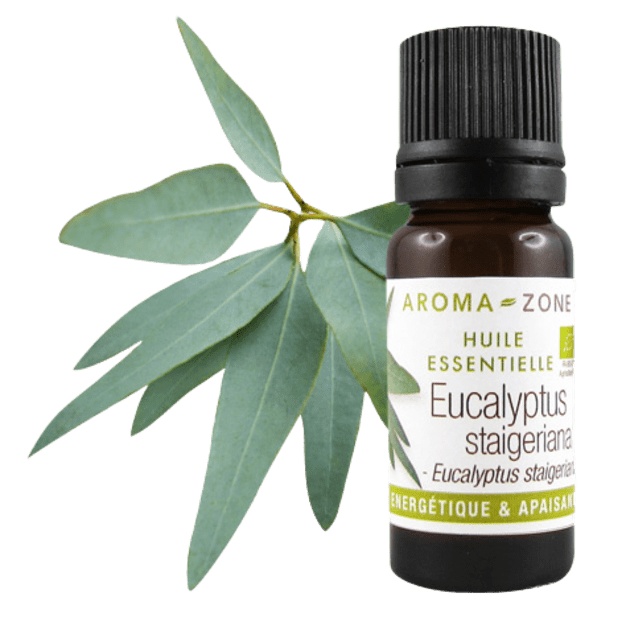 Biologische etherische olie van Eucalyptus staigeriana