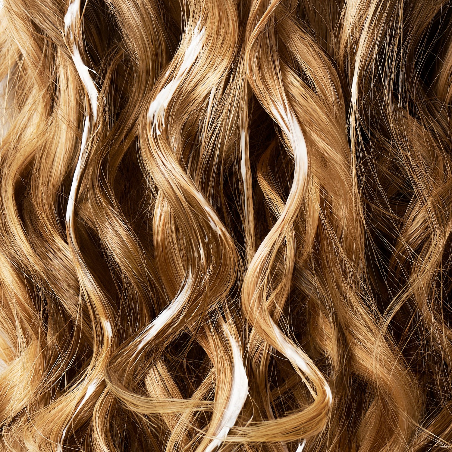 Phyto Shampooing Nourrissant