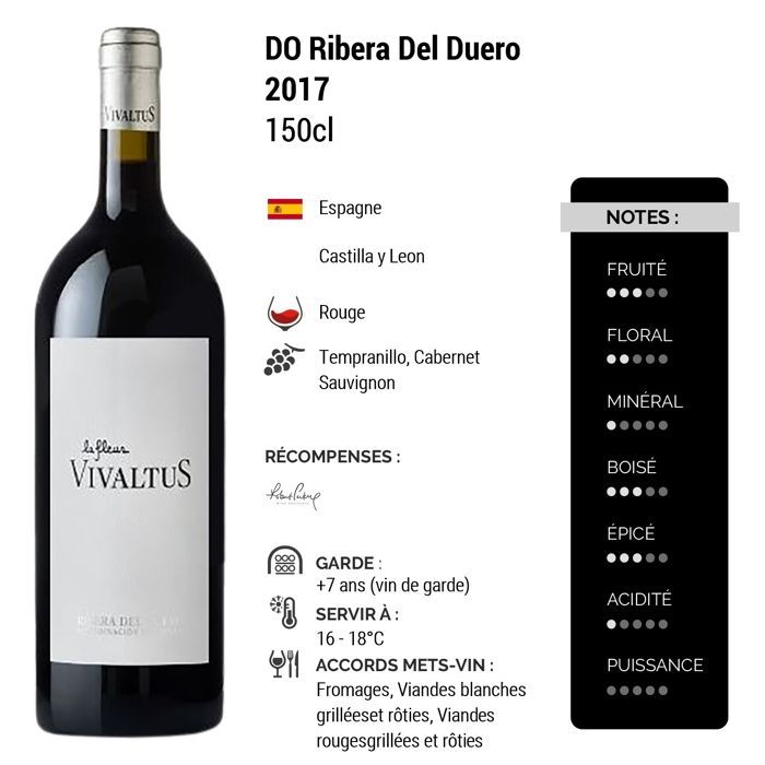 Vivaltus Ribera Del Duero MAGNUM 2017 - Vin Rouge d' Espagne (3x150cl)
