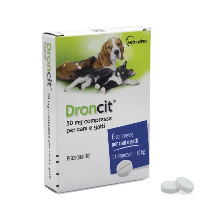 DRONCIT Droncit 6 comprimés 50 mg