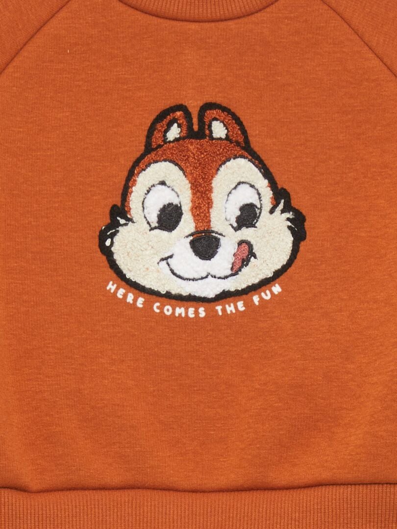 Disney fleece sweatshirt - bruin