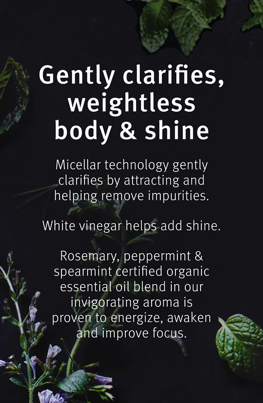 Aveda Rosemary Mint Weightless Conditioner is een milde conditioner die het haar glans geeft en het zacht maakt.