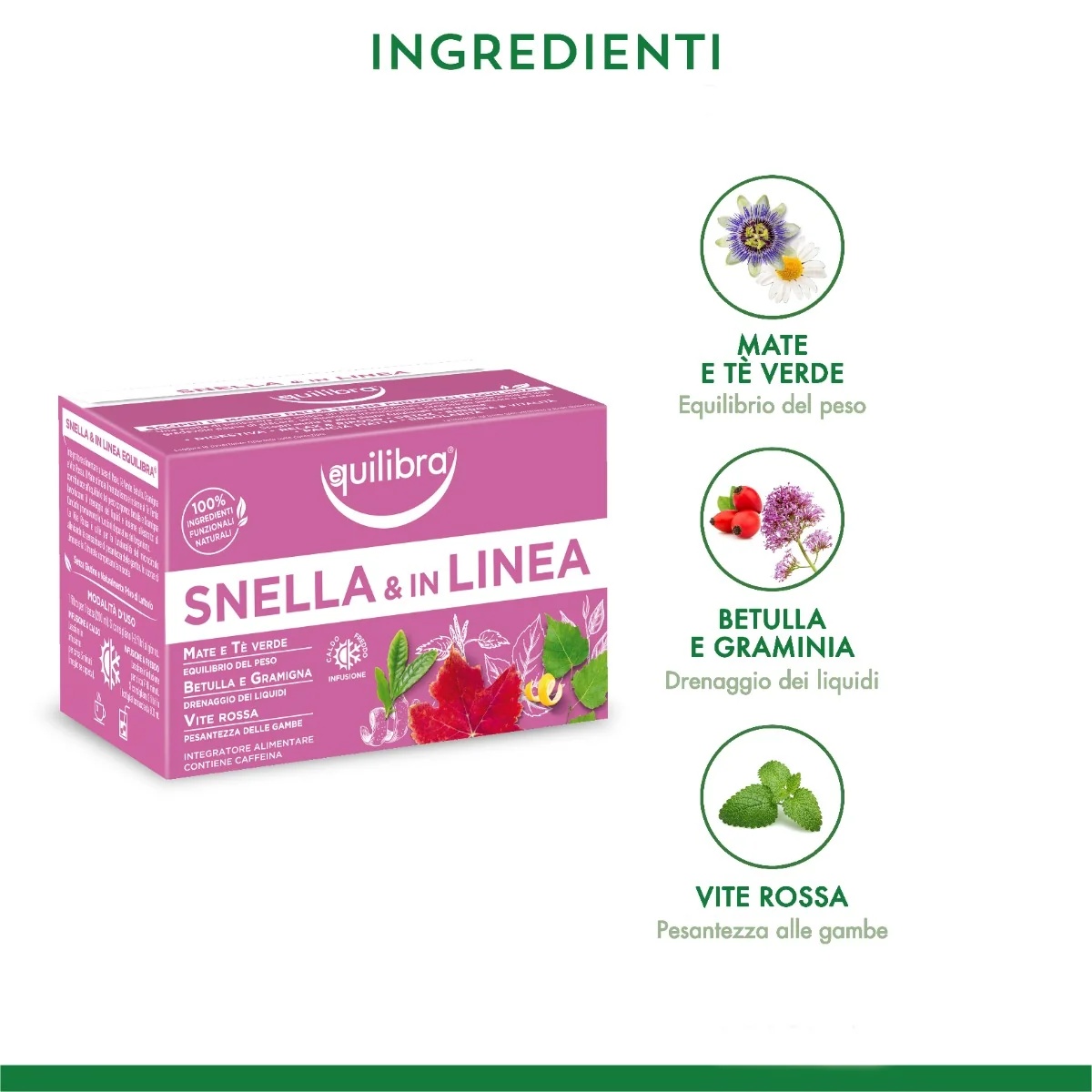 Equilibra kruidenthee Equilibra Slim and Fit 15 filters Groene thee Berk Rode wijnstok