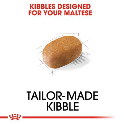 Royal Canin Malteser Adult