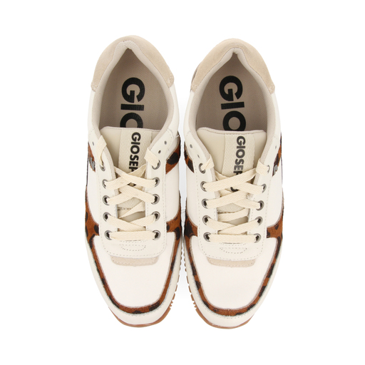Baskets Gioseppo Lieja