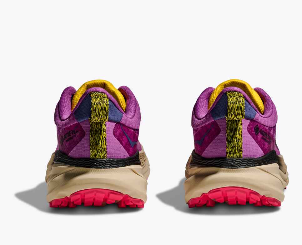 HOKA Challenger 7 GORE-TEX Superbloom / Βρώμη