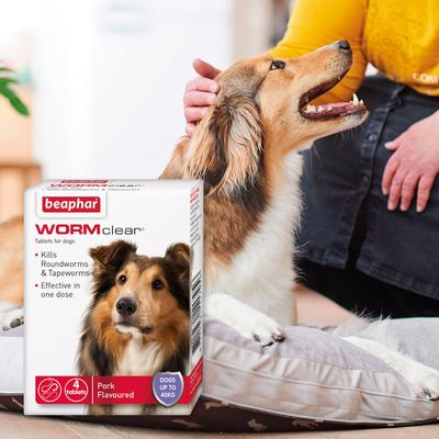 Comprimés beaphar WORMclear® pour chiens