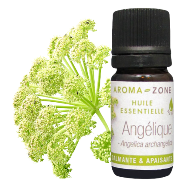 Huile essentielle Angélique archangélique 2ml