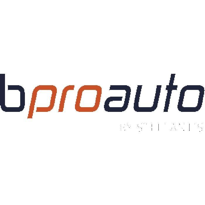 Batterie de voiture BPROAUTO 60Ah/540A  PRO-04220021
