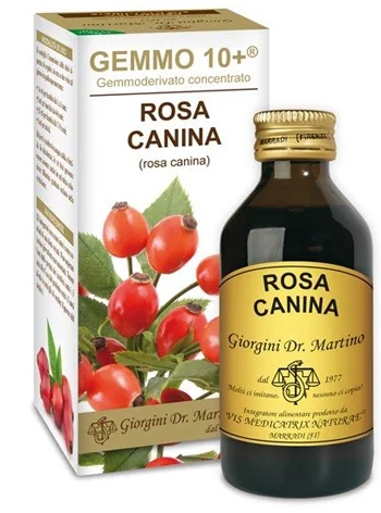 DR. GIORGINI Dr. Giorgini Gemmo 10+ Rosa Canina alcoholvrije vloeistof voor het immuunsysteem 100 ml