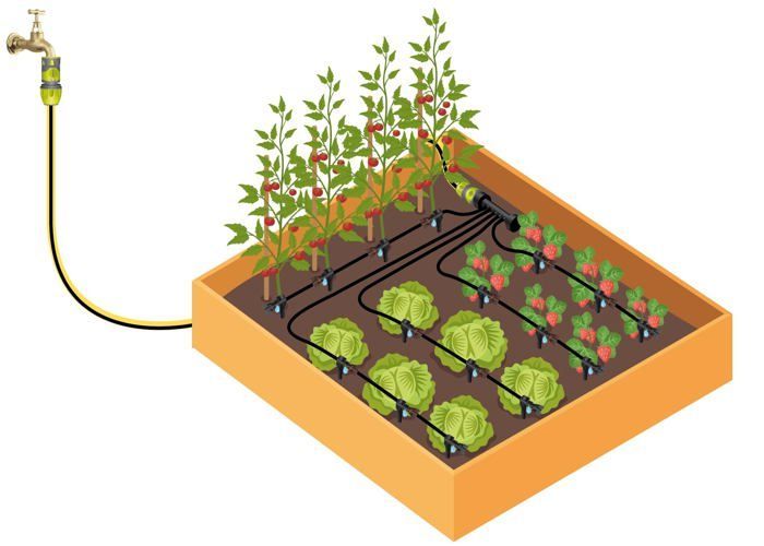 Kit de riego por goteo para bancales elevados: 15 m de microtubo de Ø 6 mm, 11 goteros ajustables de 0 a 6 L/h.