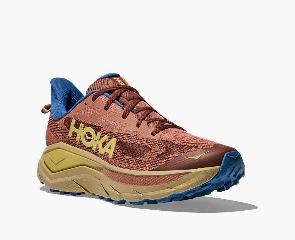 HOKA Challenger 8 Érable / Cardamome