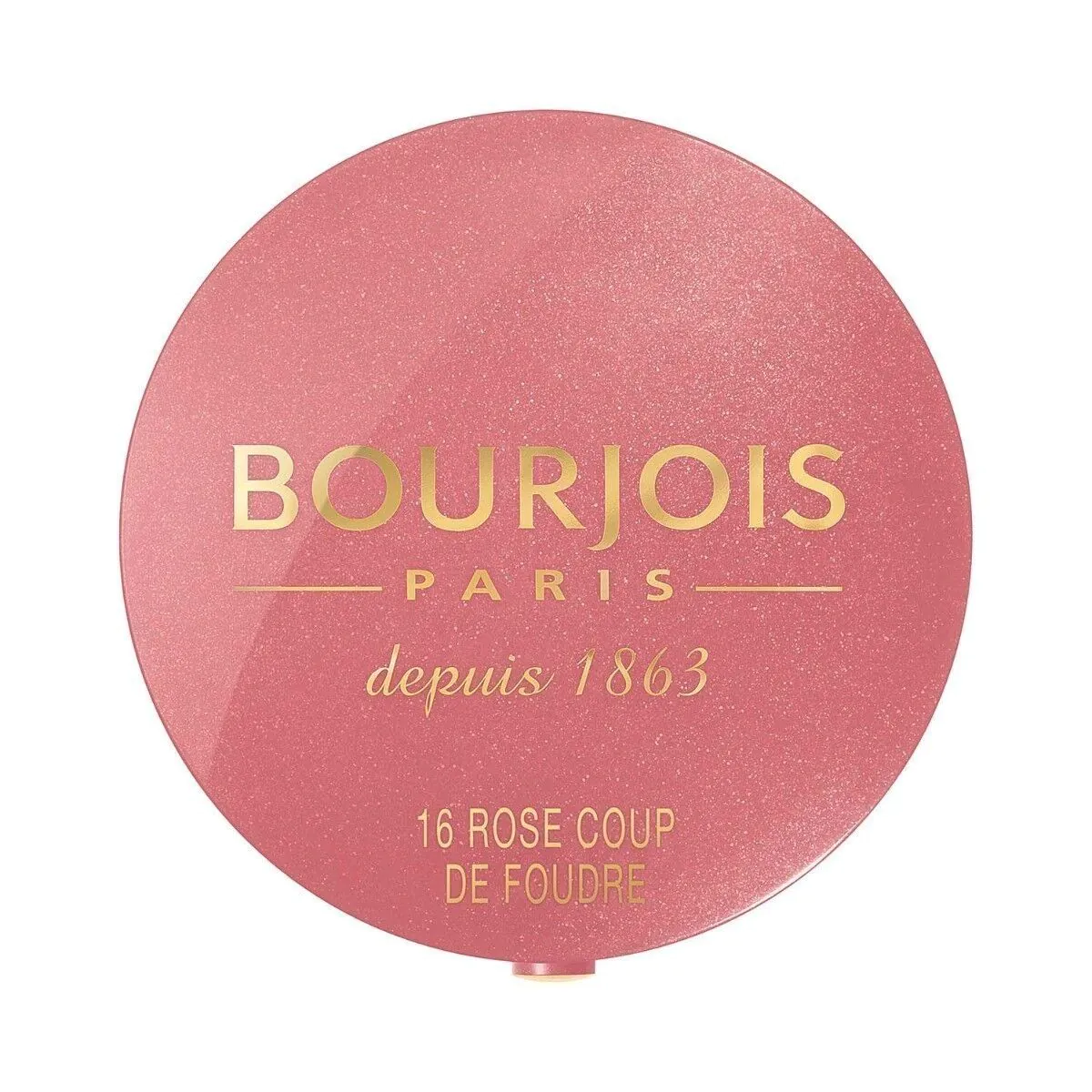 Bourjois Pastel Joues 95 Rose De Jaspe Róż do policzków