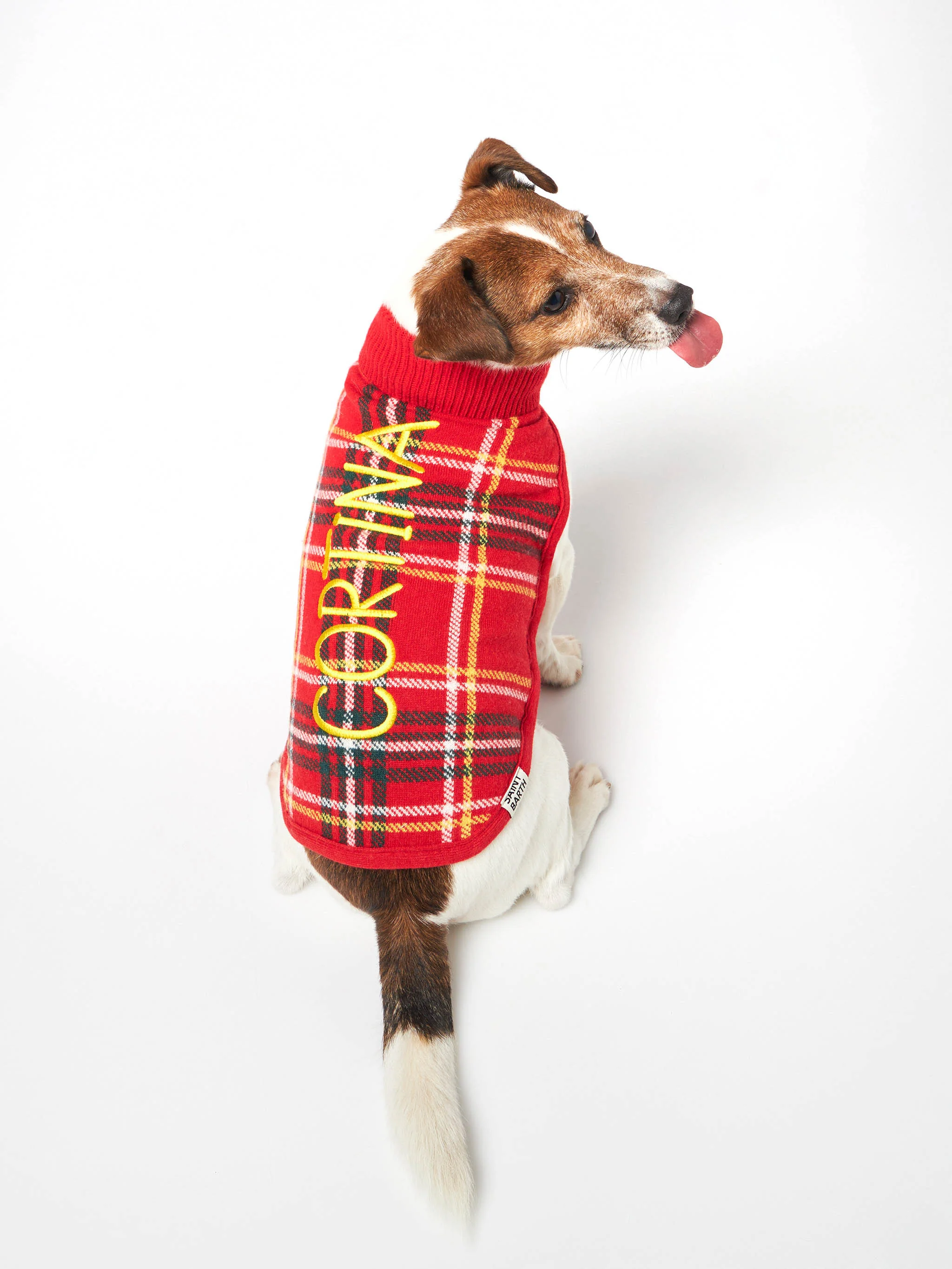 Trui voor honden met Schotse ruitprint