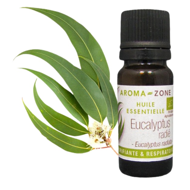 Organiczny olejek eteryczny z eukaliptusa promienistego 10 ml