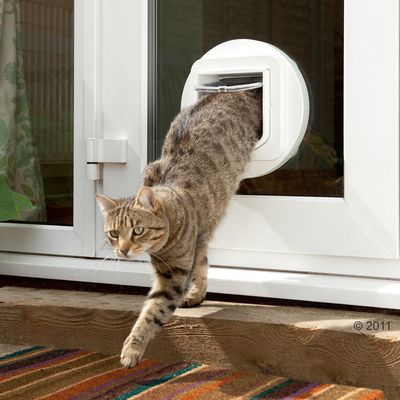 Gattaiola SureFlap con microchip