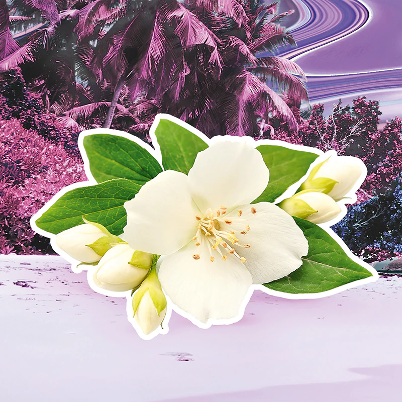 Toaletná voda Escada Pacific Paradise pre ženy