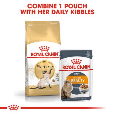 Royal Canin Siamese Adult