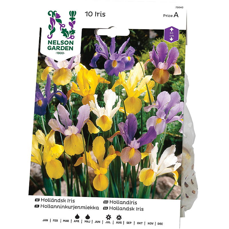 Iris de jardín Nelson, Holanda, colores variados