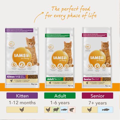 IAMS for Vitality Senior Fresh Chicken -kuivaruoka kissalle