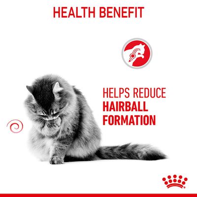 Royal Canin Haarballenpflege