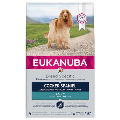 Cocker Spaniel adulto de Eukanuba
