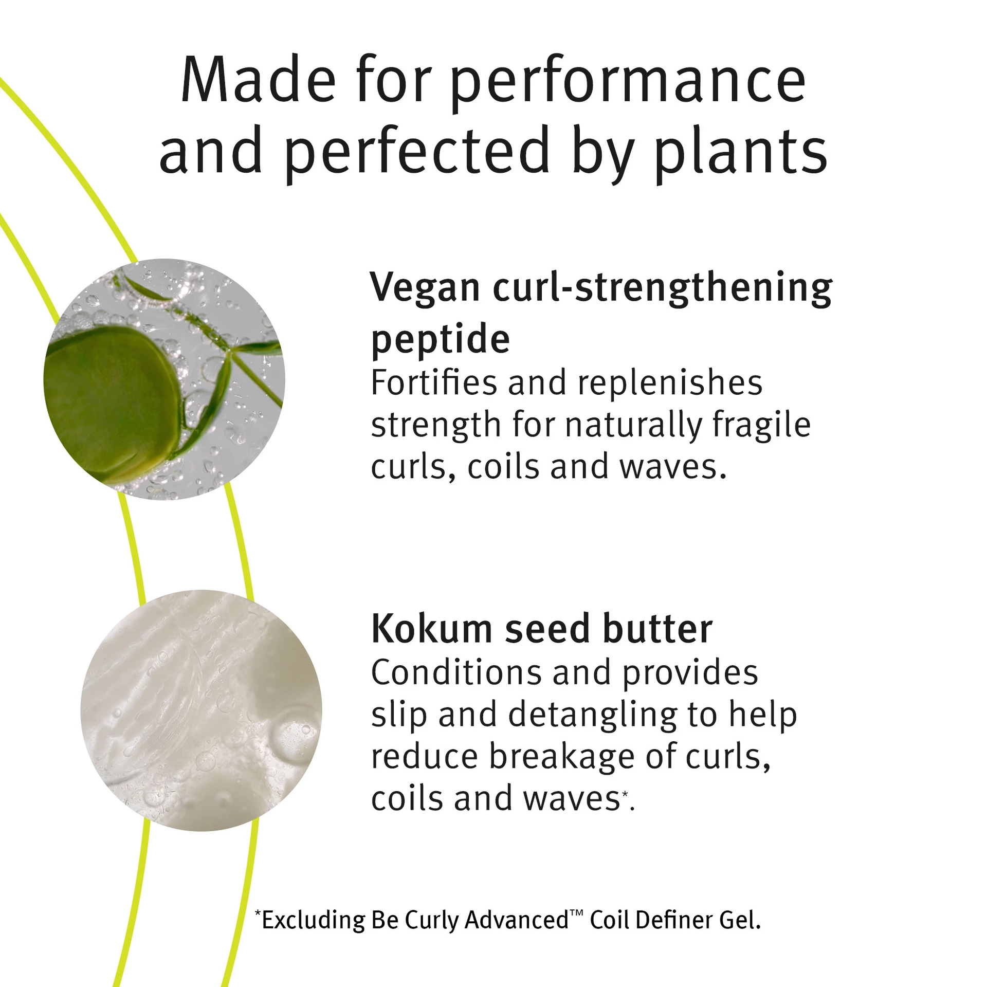 Żel do modelowania loków Be Curly Advanced Coil Definer 200 ml – Aveda